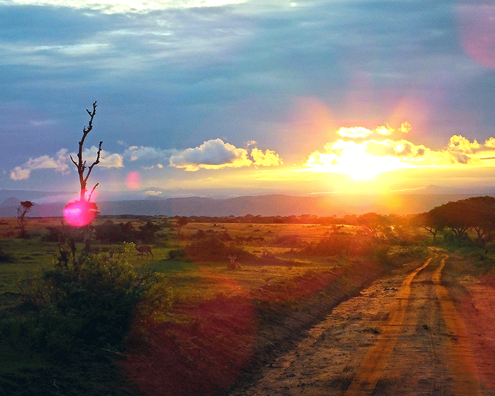 Murchison Falls