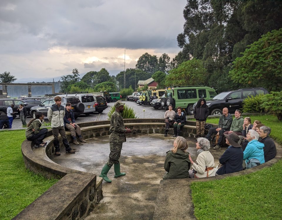 Exploring Volcanoes National Park with Kurikayo Africa Adventures