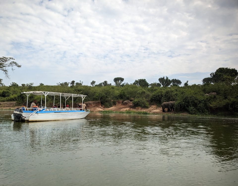 Explore the Kazinga Channel, Heart of Queen Elizabeth National Park