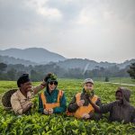 Nyungwe Forest Tea experience with Kurikayo Africa Adventures
