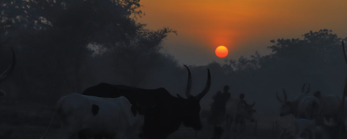 A Day with the Mundari from Sunrise to Sunset in a Cattle Camp