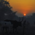 A Day with the Mundari from Sunrise to Sunset in a Cattle Camp