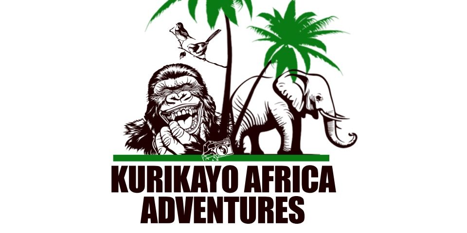 Best Uganda Safari Company