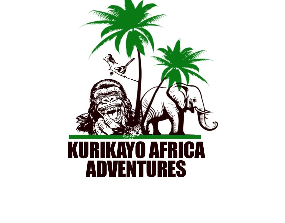 Best Uganda Safari Company