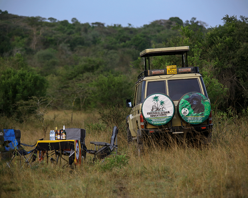 7 Days Adventure to Queen Elizabeth National Park